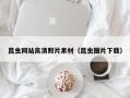 灵宝昆虫网站高清照片素材（昆虫图片下载）