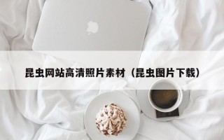 灵宝昆虫网站高清照片素材（昆虫图片下载）